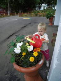 Цветник в детском саду