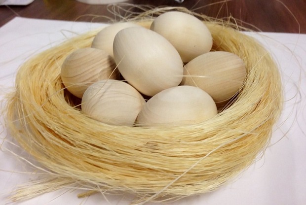 набор гнездо с яйцами