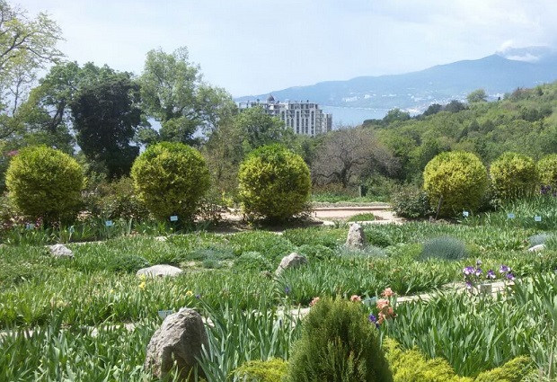 Никитский ботанический сад