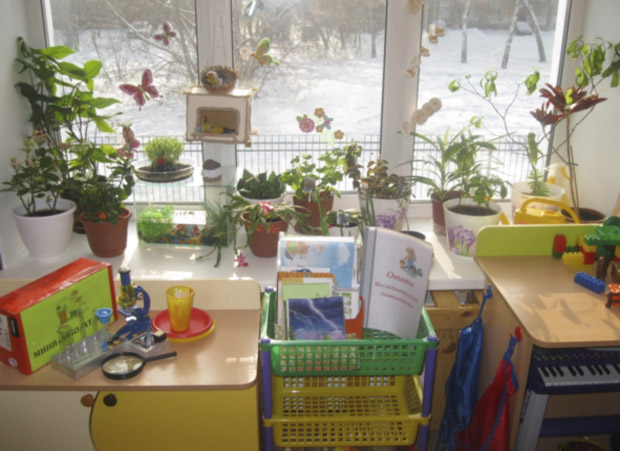 Уголок природы в детском саду: оформление, содержание, советы