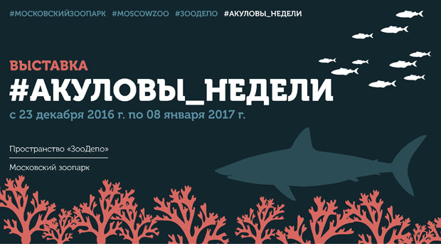 выставка акул